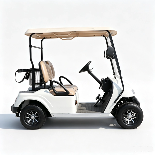 2-seater-electric-golf-cart (6)_EAGLE 2-местный электрический гольф-кар (6)_EAGLE