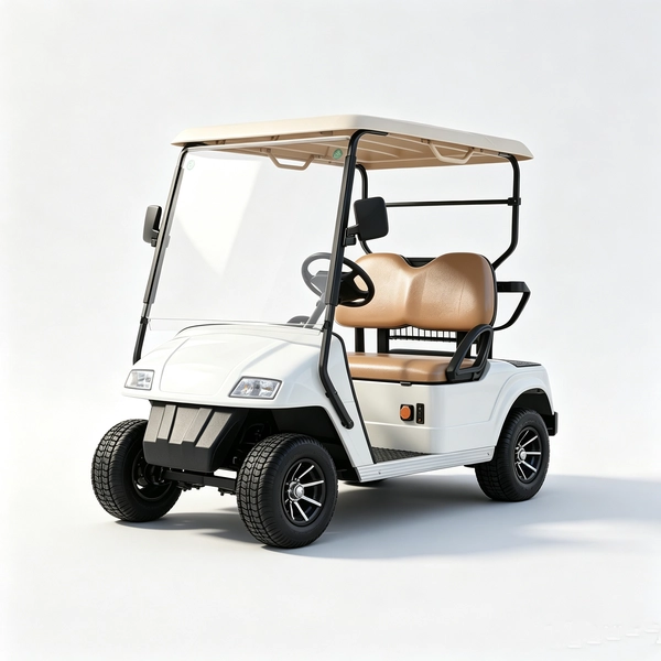 2-seater-electric-golf-cart (1)_EAGLE 2-местный электрический гольф-кар (1)_EAGLE