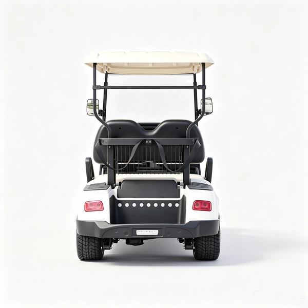 2-seater-electric-golf-cart (7)_EAGLE 2-местный электрический гольф-кар (7)_EAGLE