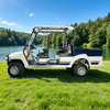 72V Электрический 2wd Offroad Off Road Мини-пикап Охотничья тележка для гольфа - EG6042A
