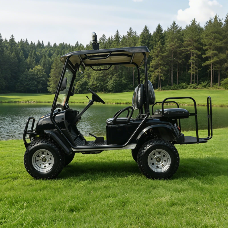 Электрический внедорожник 4WD 4X4 для гольфа | Сверхмощный охотничий внедорожный багги Производитель Китай - EG6020A4D