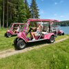 Роскошный 6-местный электрический экскурсионный автомобиль розового цвета для тематических парков — EG2040ASZ
