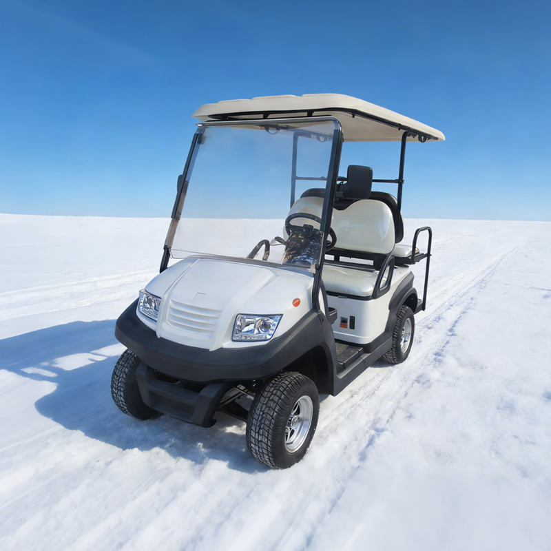 Универсальные 2 + 2 4-местные гольф-кары, 48 В — EG202ASKZ