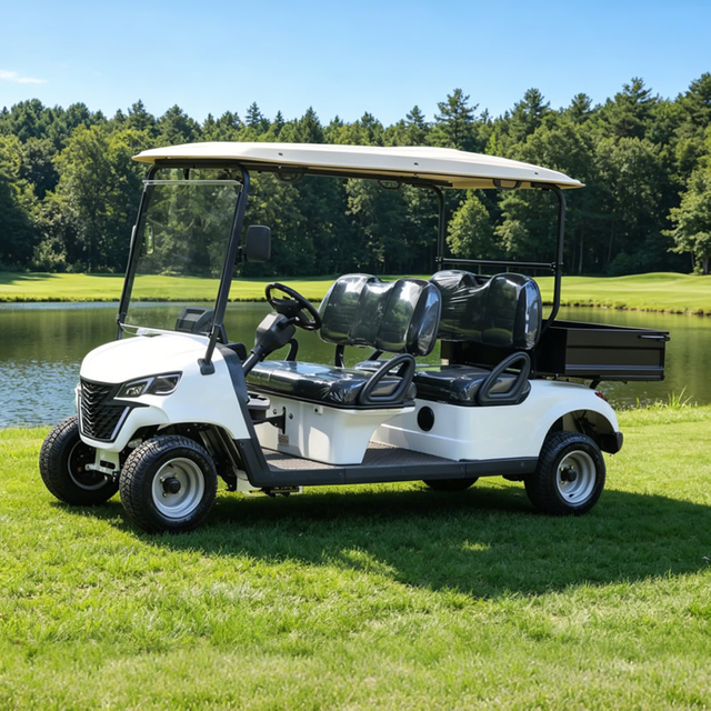 4-местная тележка для гольфа 48v с грузовым отсеком — EG204EH