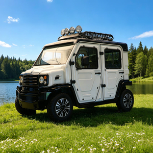 Мини-патрульный автомобиль автомобиля оптом на заводе по индивидуальному заказу - EG6311