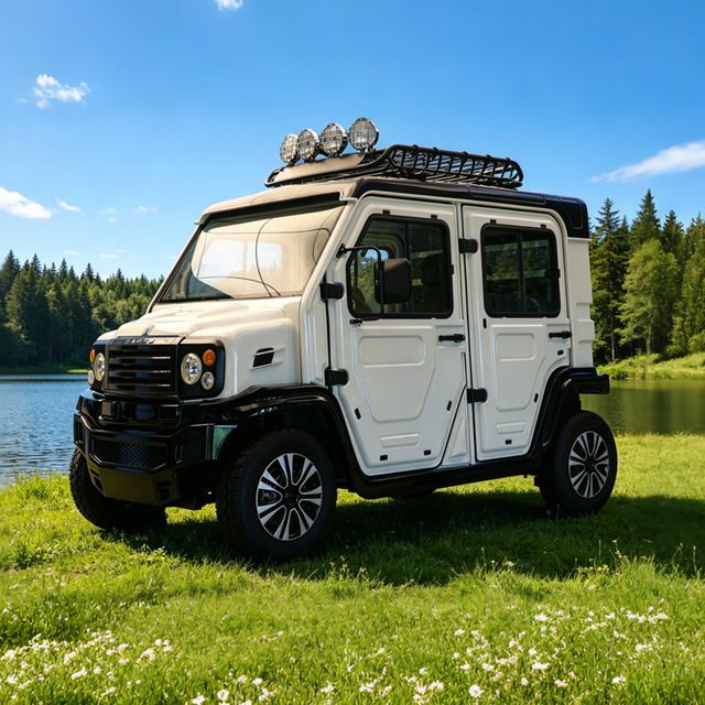 Мини-патрульный автомобиль автомобиля оптом на заводе по индивидуальному заказу - EG6311