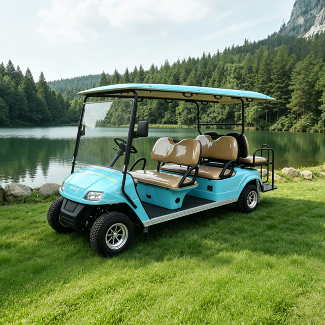 OEM ODM 6-местная электрическая тележка для гольфа для гольфа - EG2048KSZ