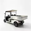 Завод и поставщик OEM 2-местных электрических грузовых тележек для гольфа - EG2048HCX