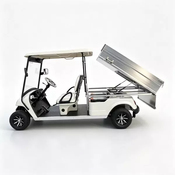 Завод и поставщик OEM 2-местных электрических грузовых тележек для гольфа - EG2048HCX